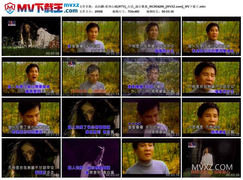 高向鹏-爱到心痛(MTV)_台语_流行歌曲_MC504266